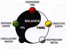 Yin Yang Symbol and 5 Elements
